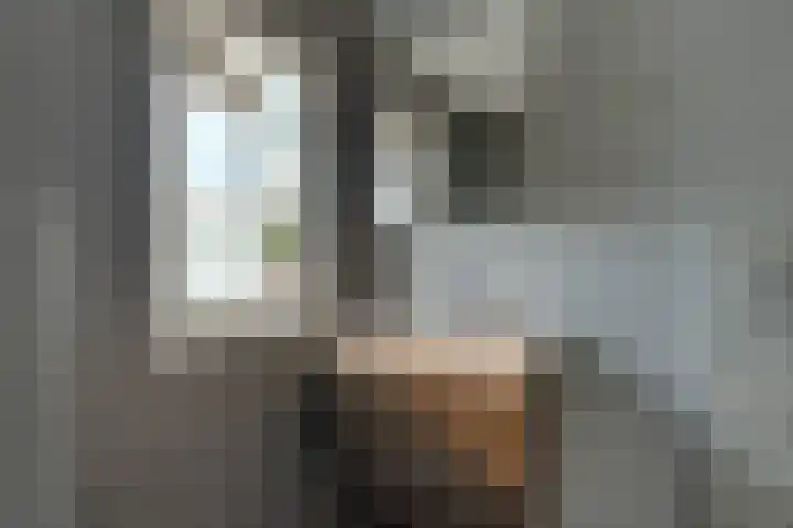 Goereestraat 10 Alkmaar thumbnail 43