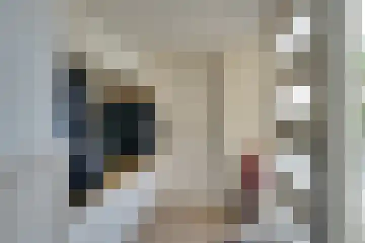 Goereestraat 10 Alkmaar thumbnail 9