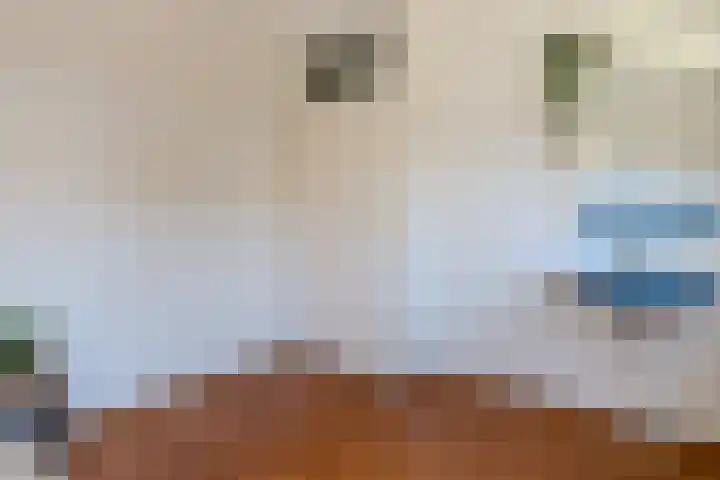 Goereestraat 19 Alkmaar thumbnail 20