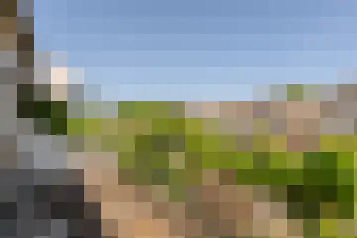 Goereestraat 19 Alkmaar thumbnail 22