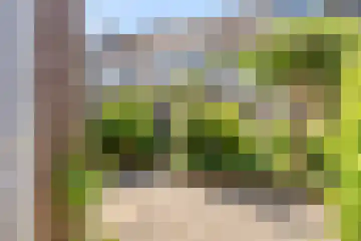 Goereestraat 19 Alkmaar thumbnail 29