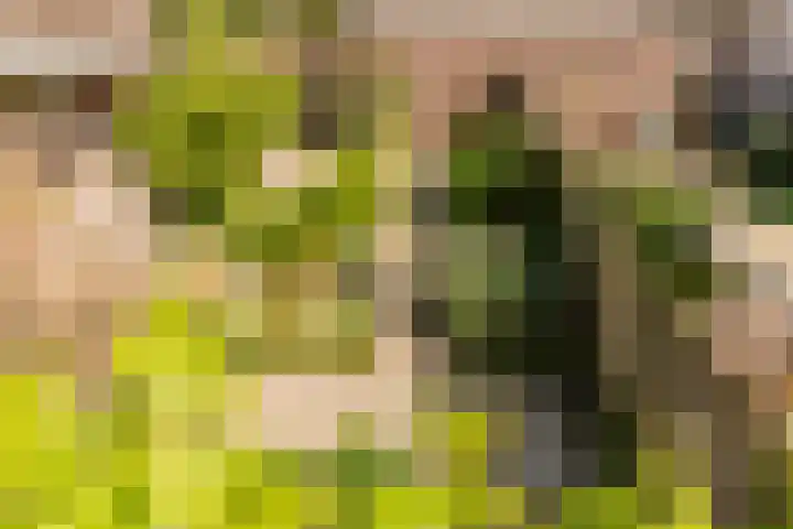 Goereestraat 19 Alkmaar thumbnail 30