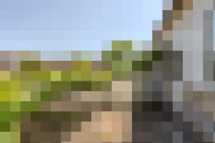 Goereestraat 19 Alkmaar thumbnail 33