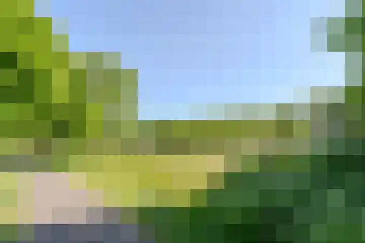 Goereestraat 19 Alkmaar thumbnail 34