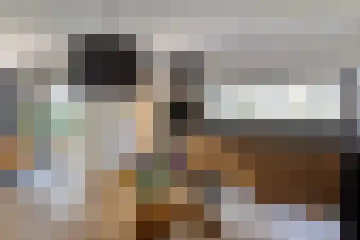 Goese Dieplaan 103 Goes thumbnail 20