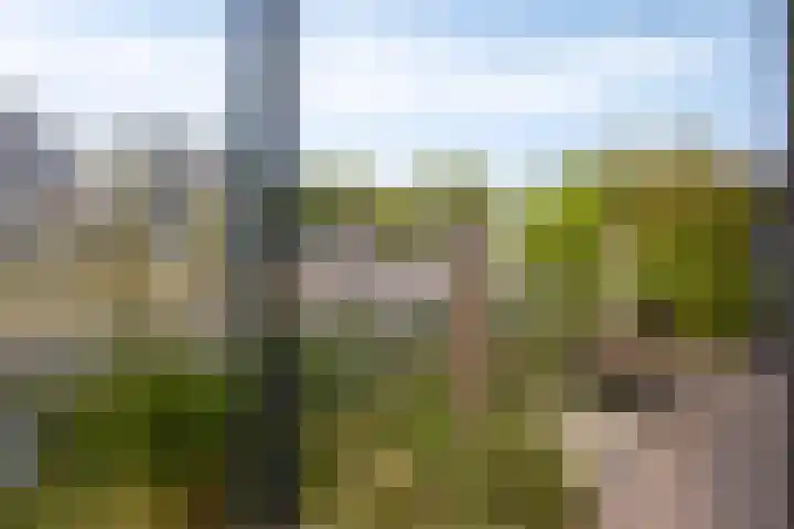 Goese Dieplaan 103 Goes thumbnail 27