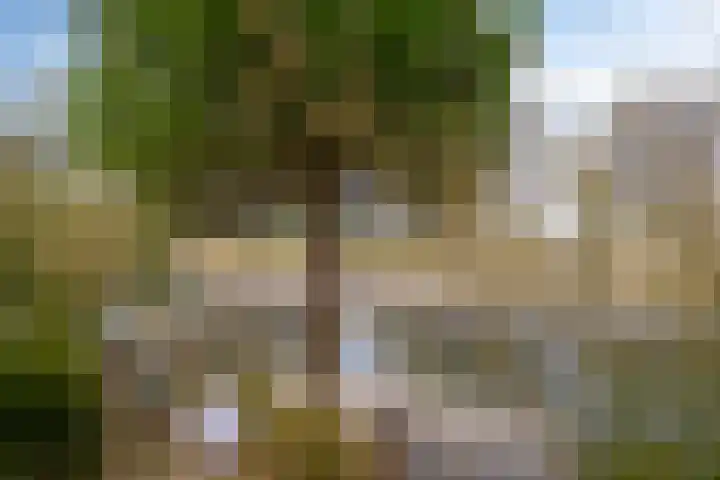 Goese Dieplaan 103 Goes thumbnail 28