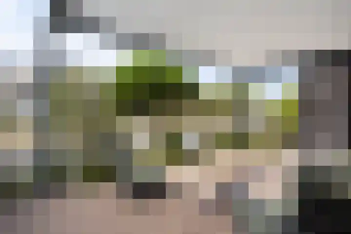 Goese Dieplaan 103 Goes thumbnail 6