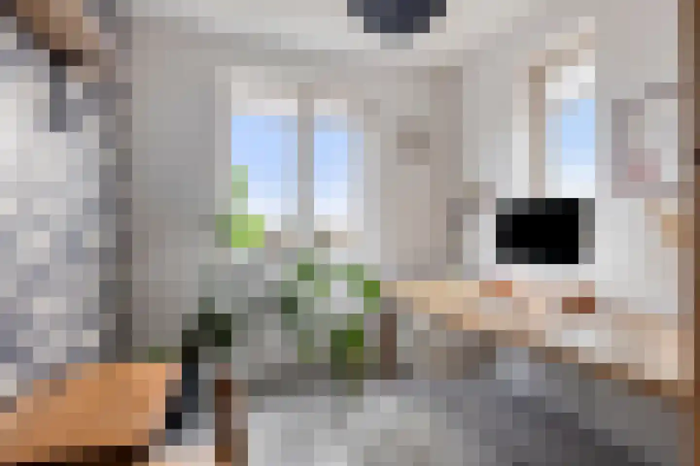 Goese Dieplaan 14 Goes thumbnail 30