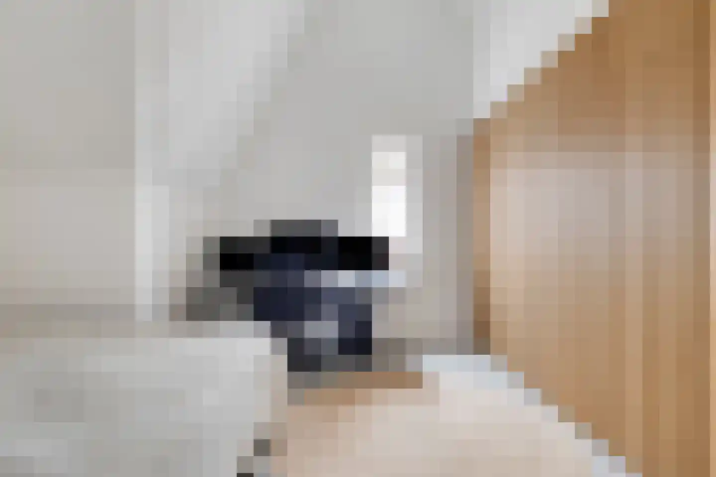 Goese Dieplaan 14 Goes thumbnail 36