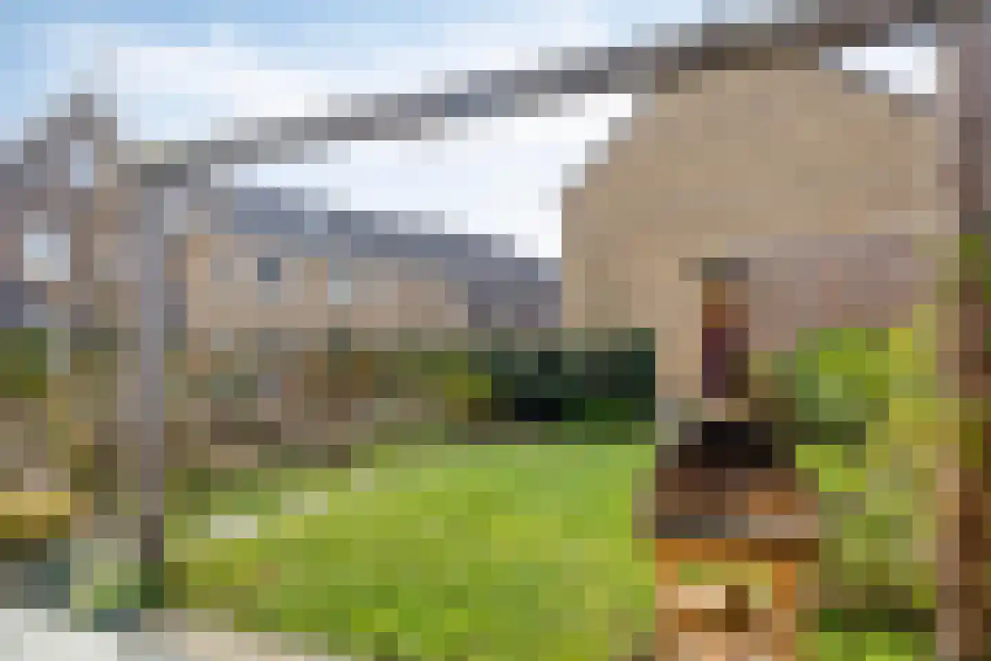 Goese Dieplaan 14 Goes thumbnail 39