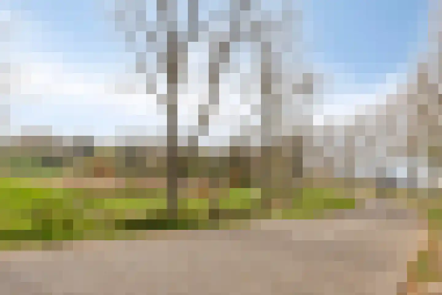Goese Dieplaan 14 Goes thumbnail 45