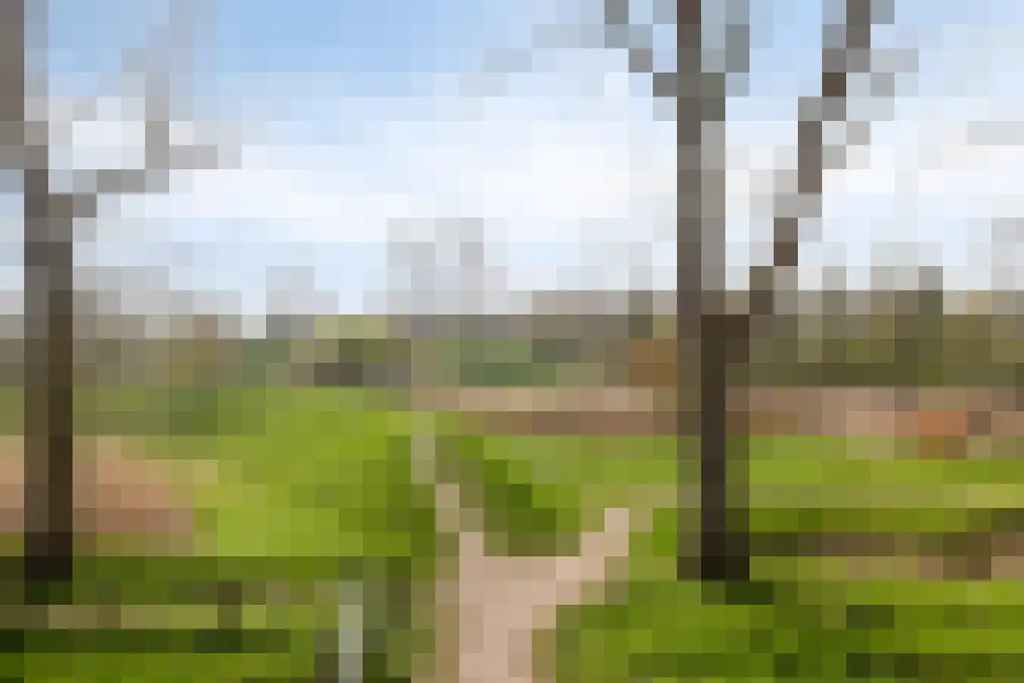 Goese Dieplaan 14 Goes thumbnail 46