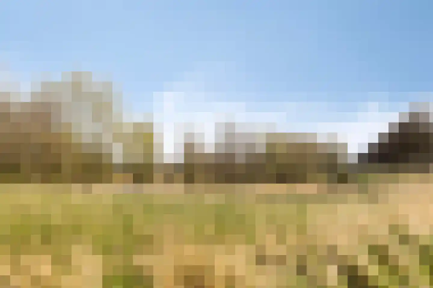 Goese Dieplaan 14 Goes thumbnail 47