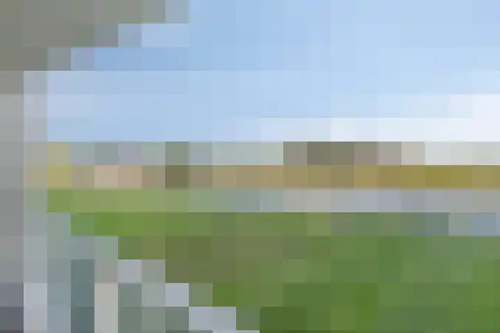 Goese Dieplaan 302 Goes thumbnail 28