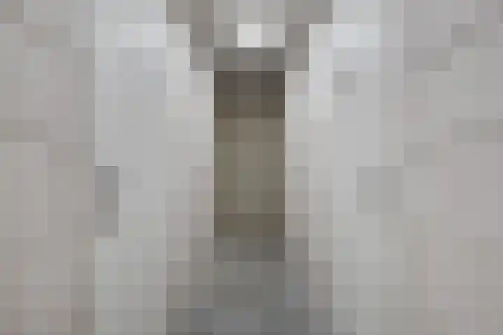 Goese Dieplaan 302 Goes thumbnail 32