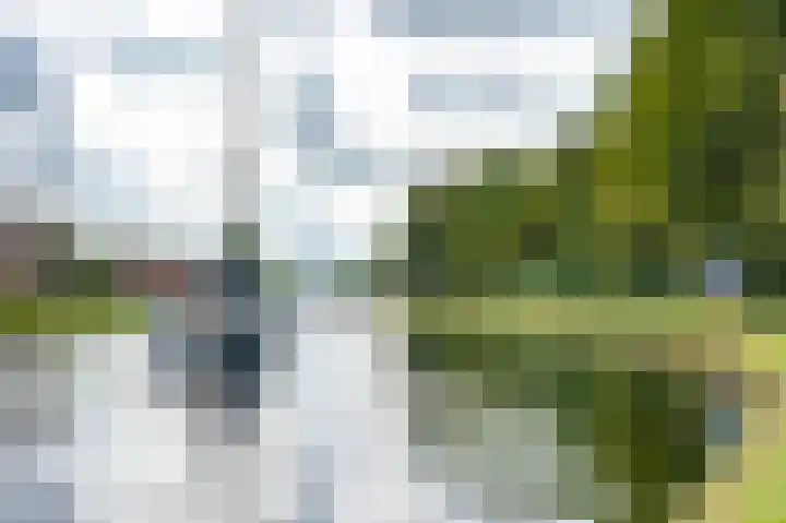Goese Dieplaan 302 Goes thumbnail 34