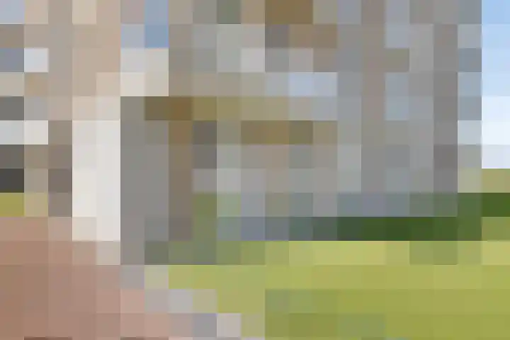 Goese Dieplaan 302 Goes thumbnail 37
