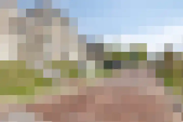 Goese Dieplaan 302 Goes thumbnail 38