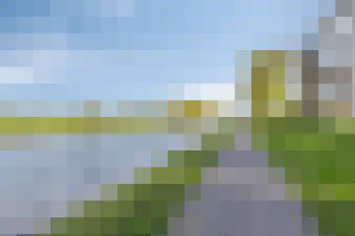 Goese Dieplaan 302 Goes thumbnail 39