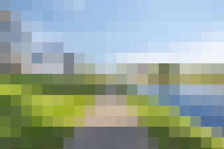 Goese Dieplaan 302 Goes thumbnail 4