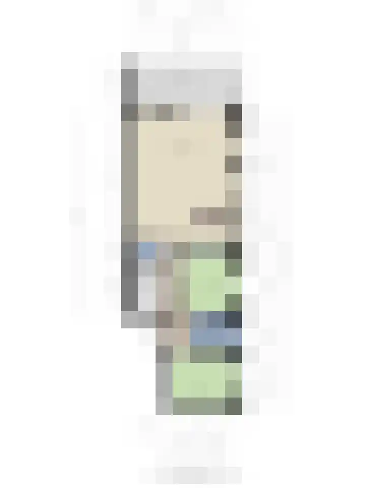 Goese Dieplaan 302 Goes thumbnail 40