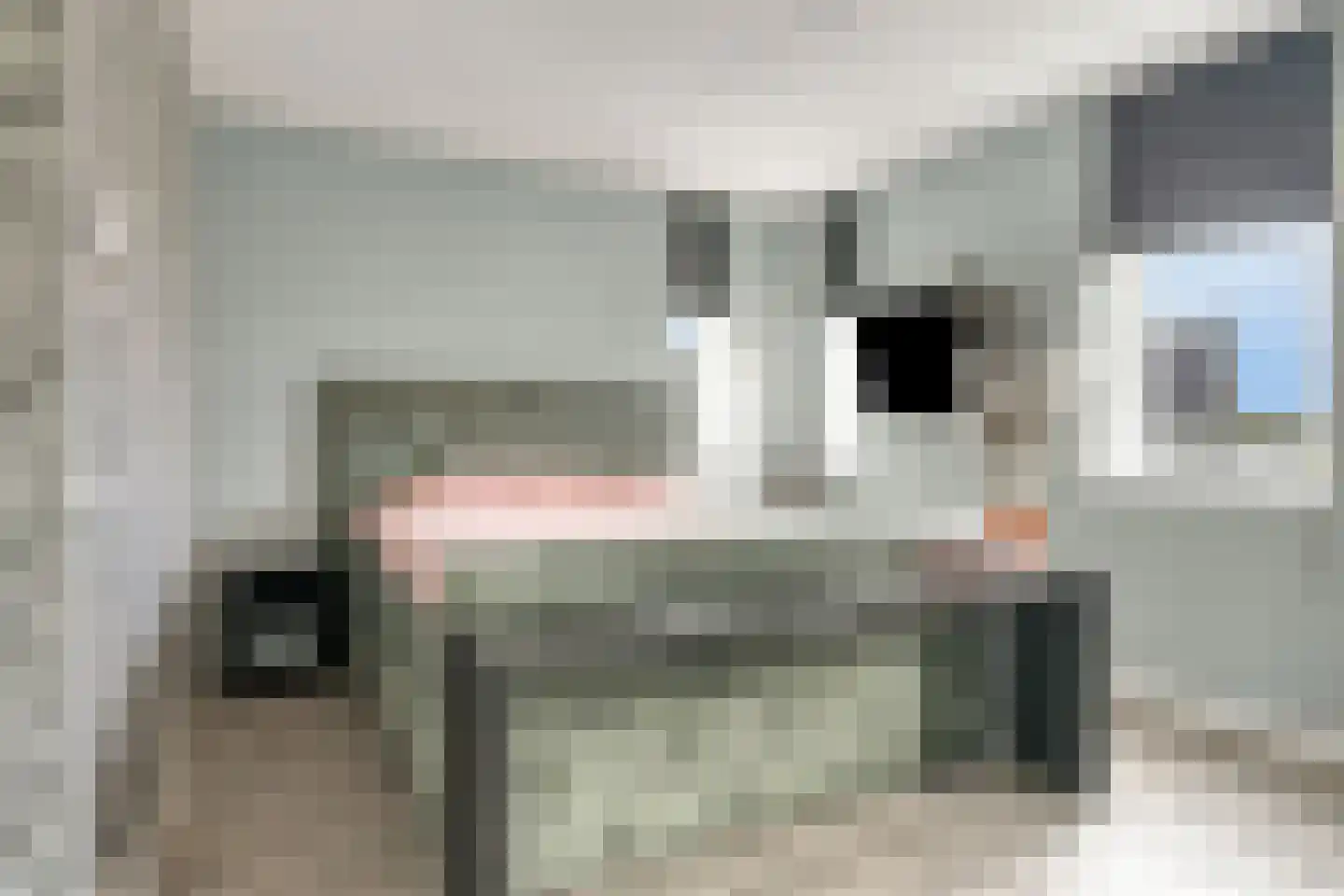 Goese Dieplaan 40 Goes thumbnail 33