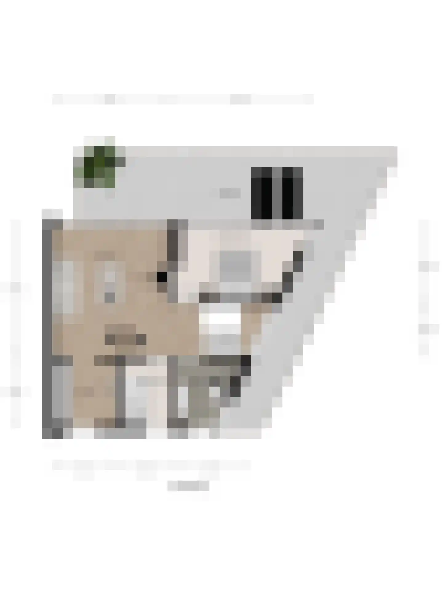 Goese Dieplaan 61 Goes thumbnail 38