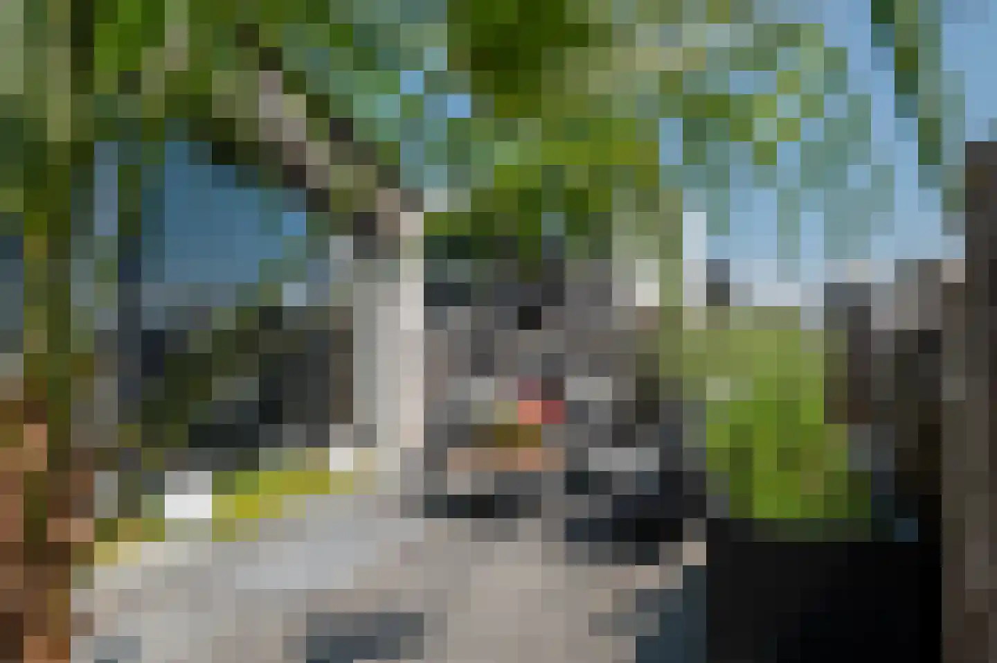 Goese Dieplaan 61 Goes thumbnail 6