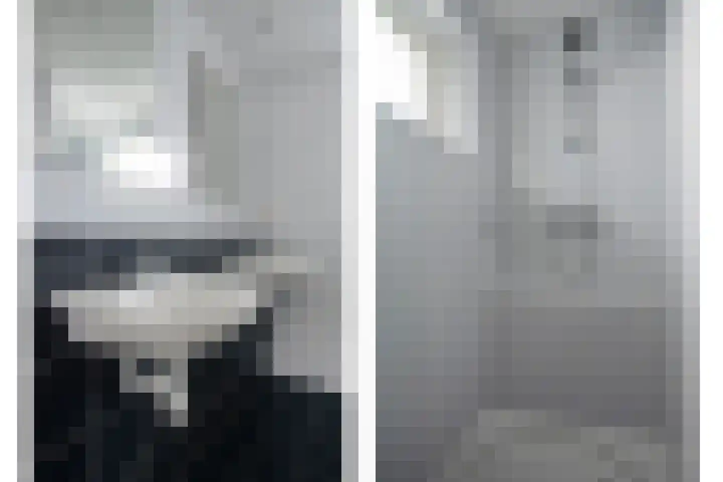 Goesestraatweg 31 's-Gravenpolder thumbnail 33