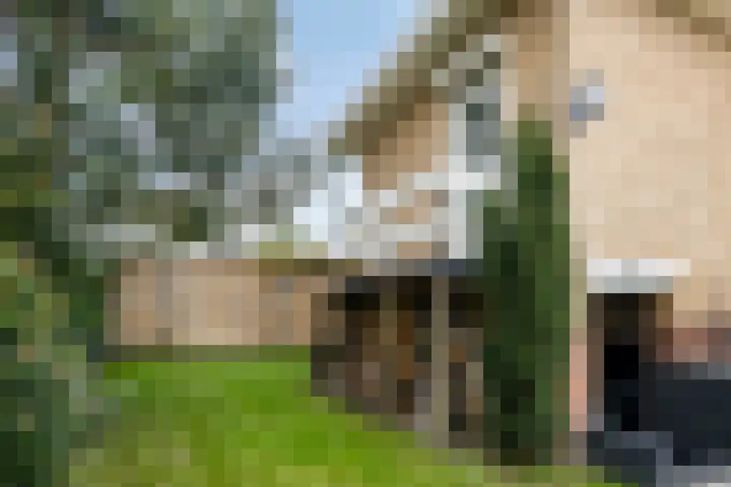 Goesestraatweg 31 's-Gravenpolder thumbnail 42