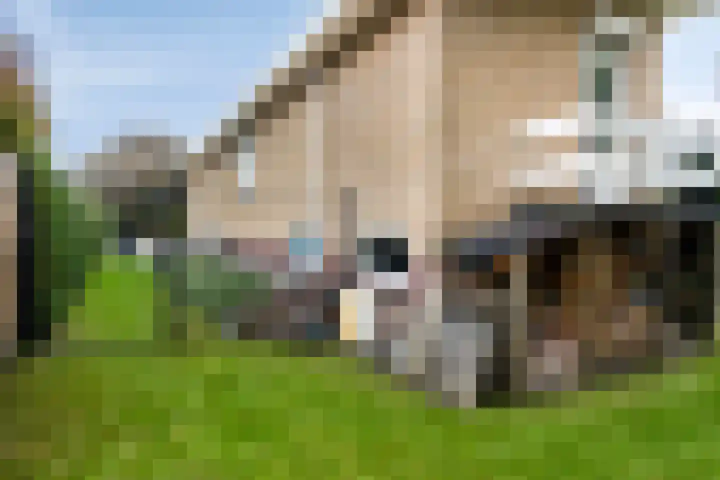 Goesestraatweg 31 's-Gravenpolder thumbnail 43