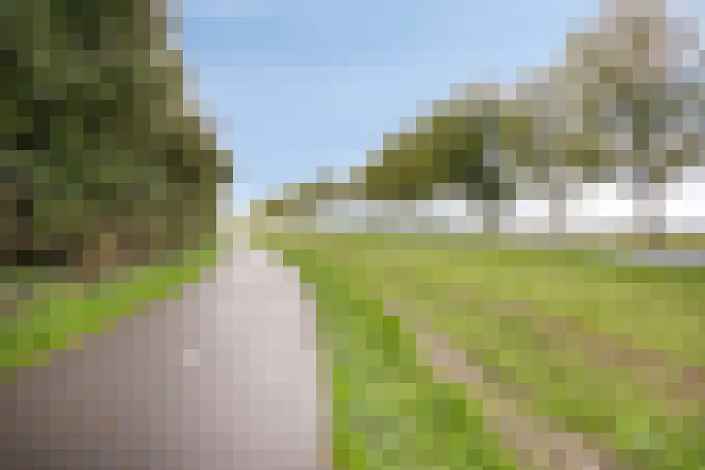 Goesestraatweg 31 's-Gravenpolder thumbnail 52