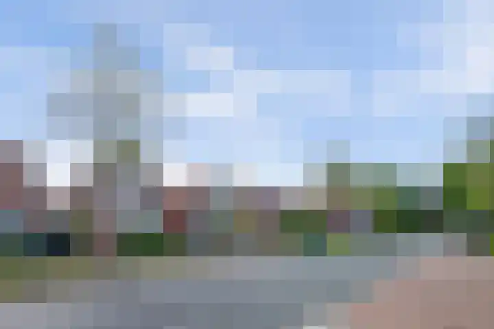 Goesestraatweg 8 's-Gravenpolder thumbnail 4