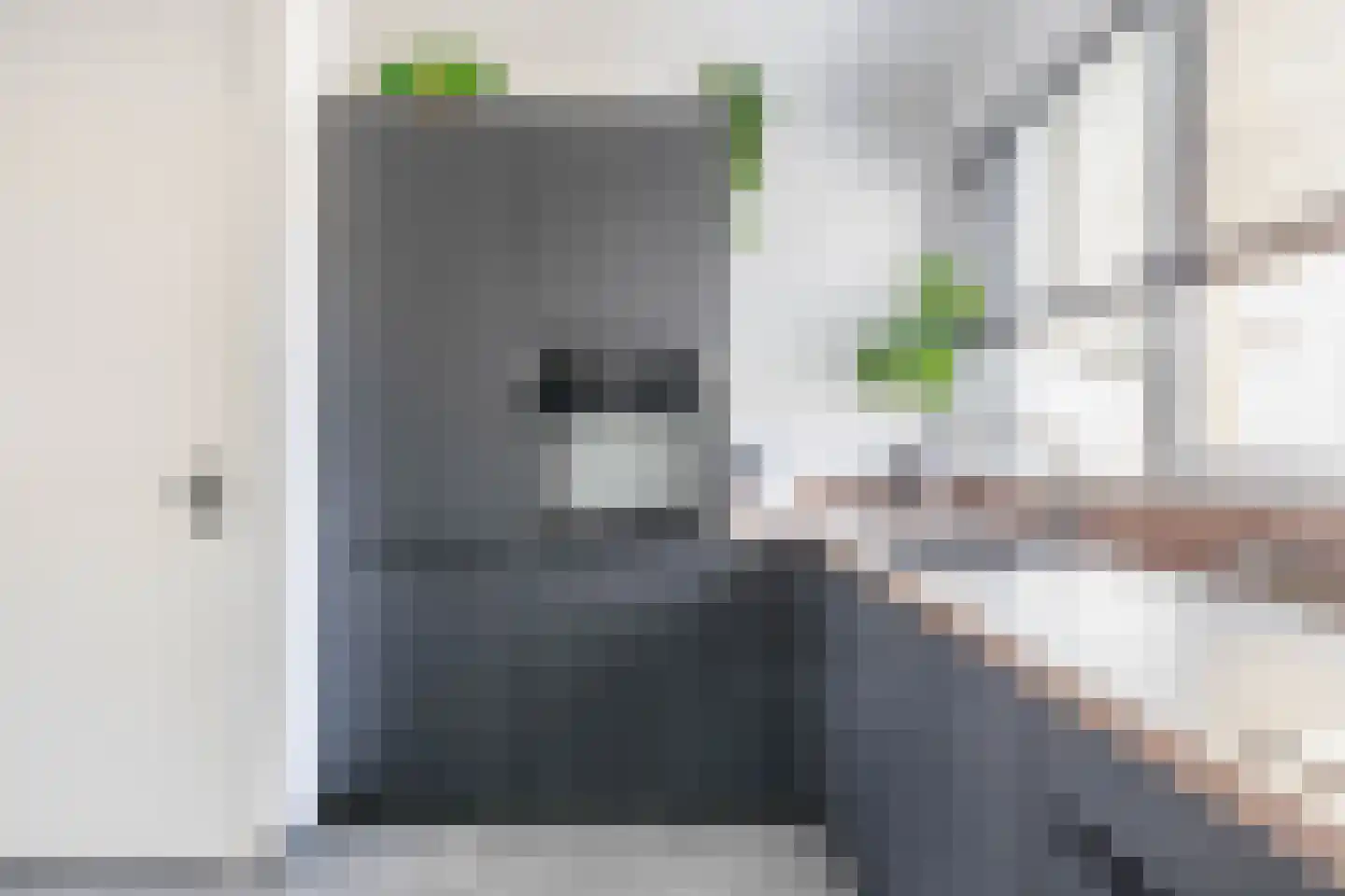 Goethelaan 114 Venlo thumbnail 12
