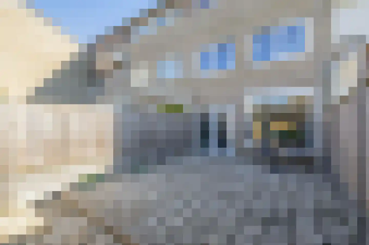 Goethelaan 114 Venlo thumbnail 17