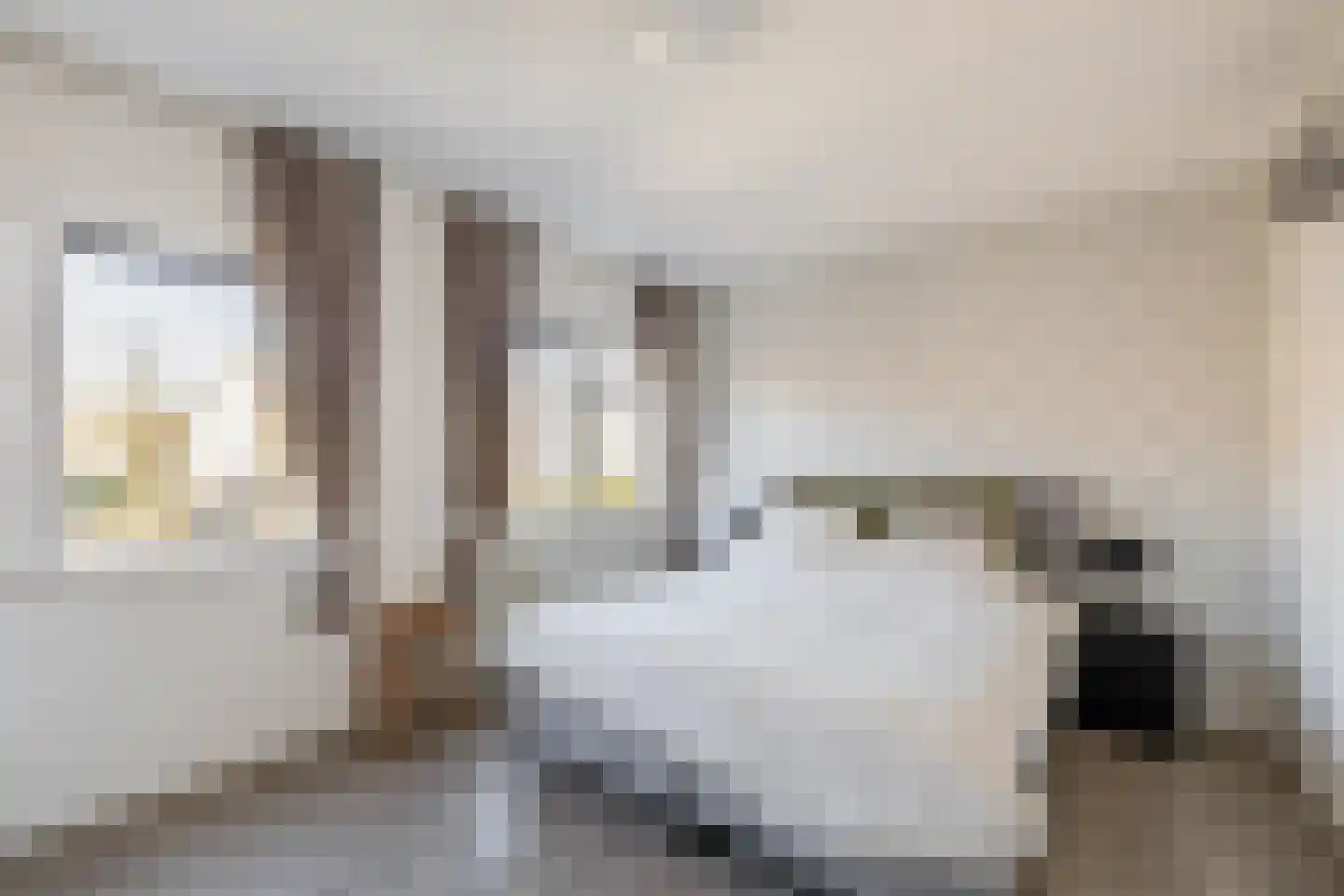 Goethelaan 114 Venlo thumbnail 19
