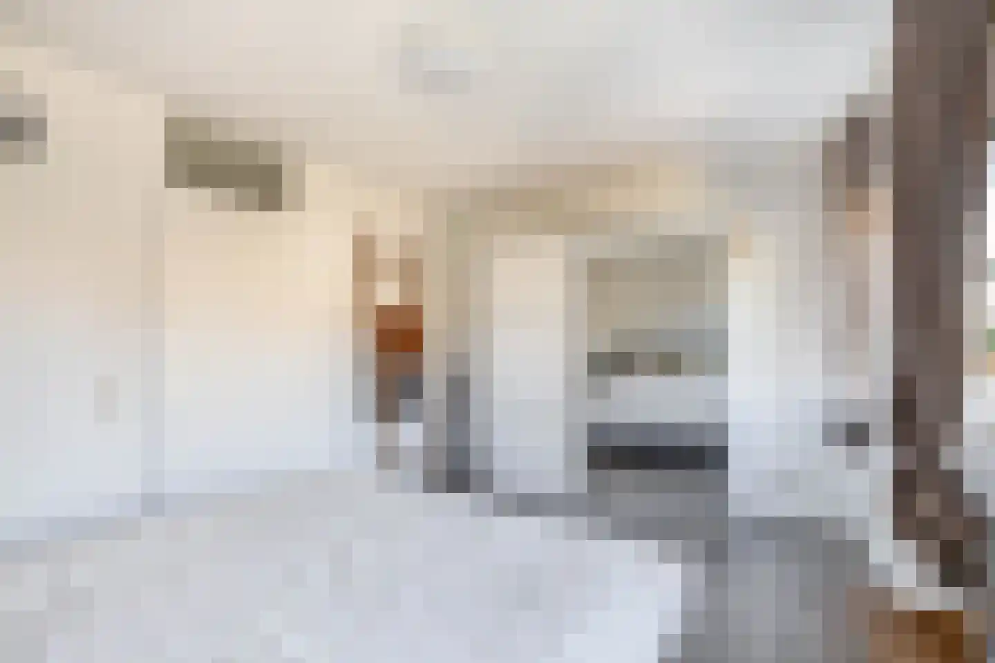 Goethelaan 114 Venlo thumbnail 20
