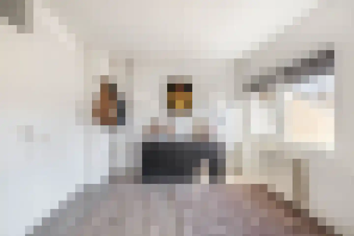 Goethelaan 114 Venlo thumbnail 24