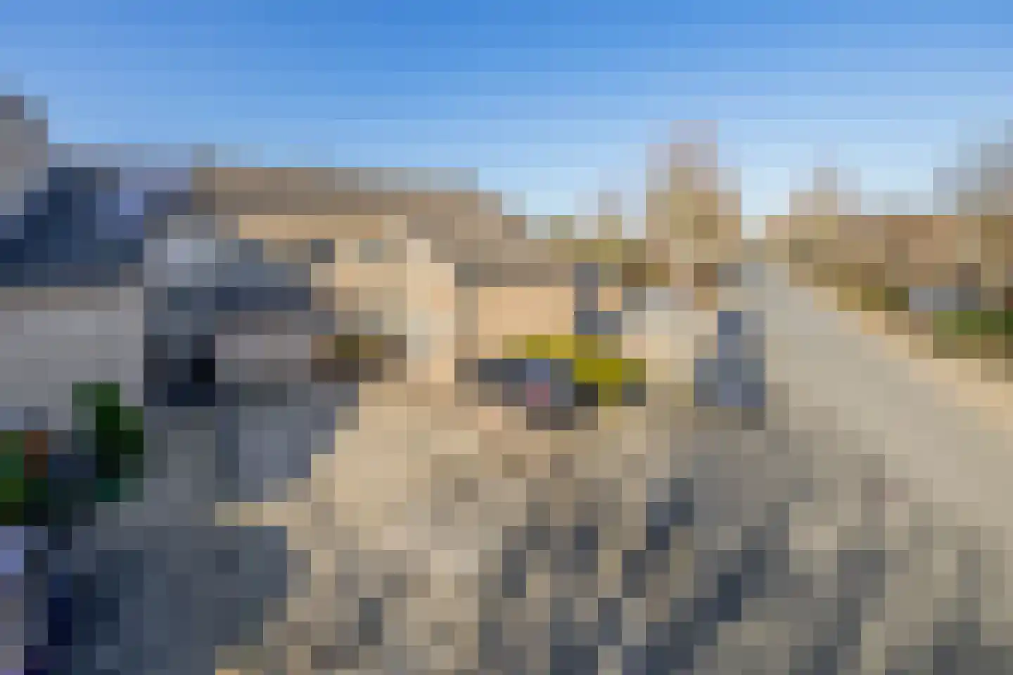 Goethelaan 114 Venlo thumbnail 29