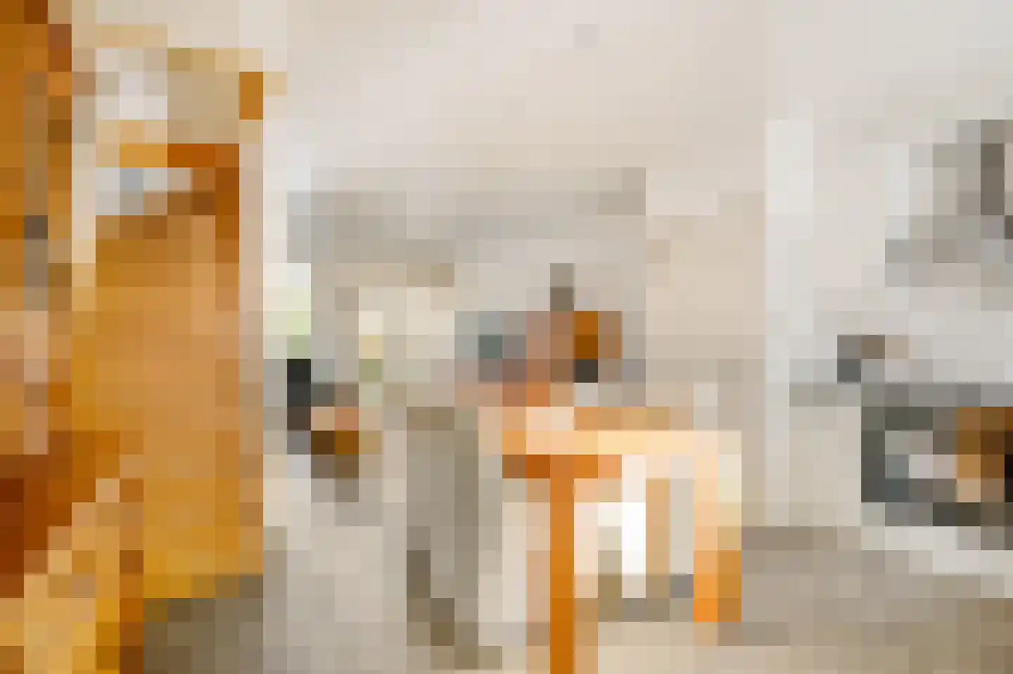 Goethelaan 150 Venlo thumbnail 15