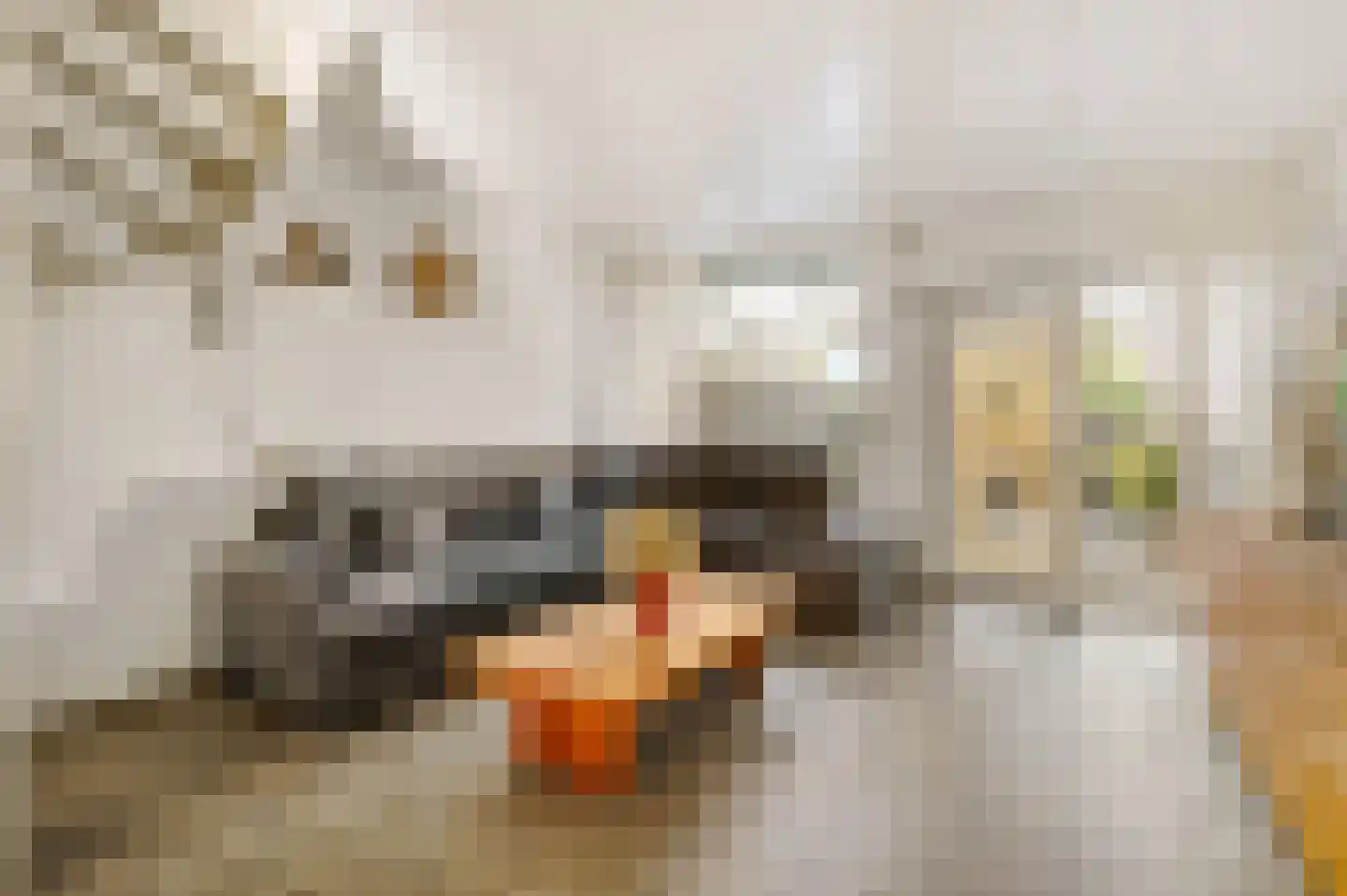 Goethelaan 150 Venlo thumbnail 16