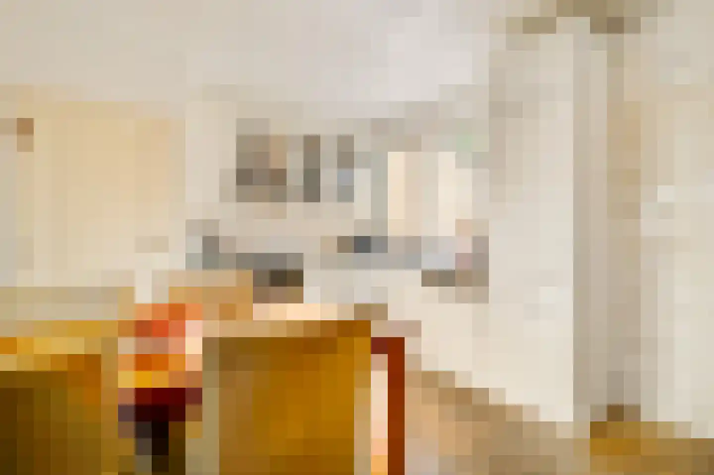 Goethelaan 150 Venlo thumbnail 20
