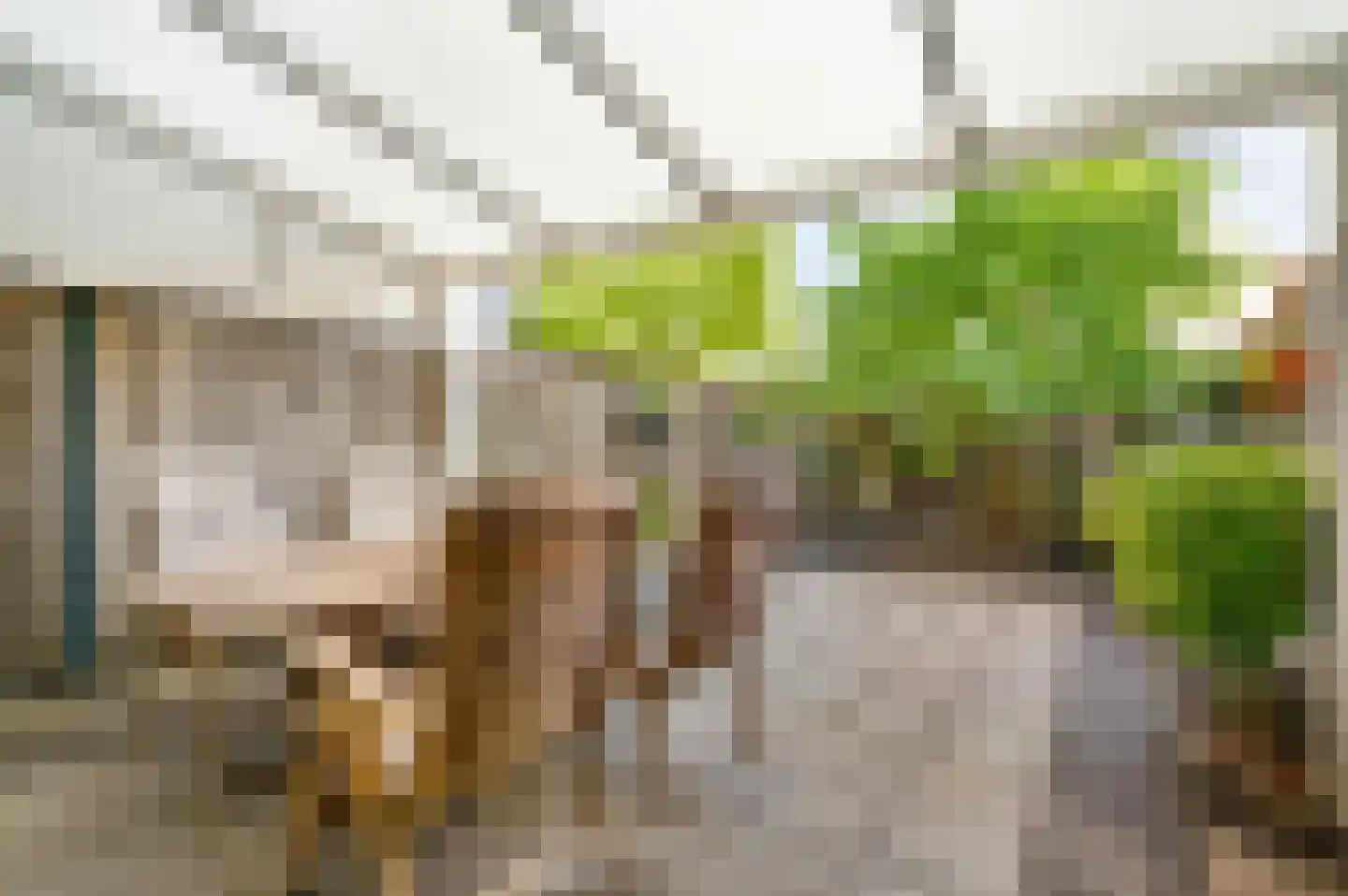 Goethelaan 150 Venlo thumbnail 36