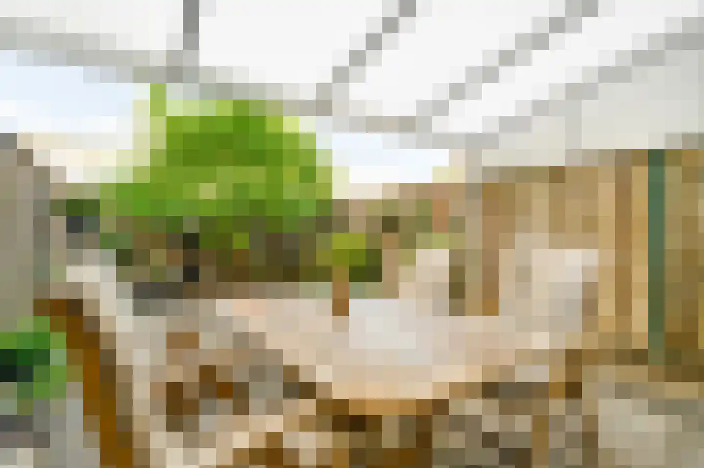 Goethelaan 150 Venlo thumbnail 37