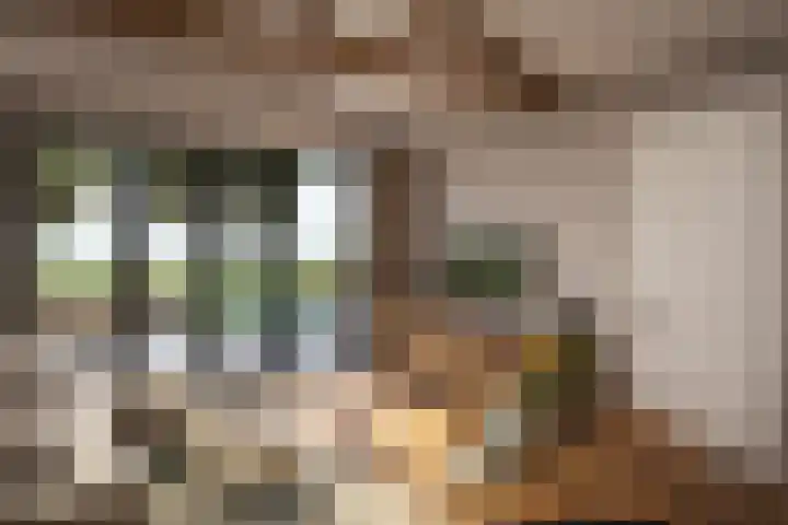 Goethelaan 154 Almere thumbnail 5