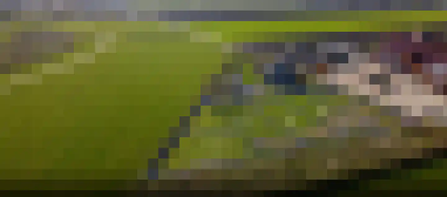 Goethelaan 156 Almere thumbnail 19