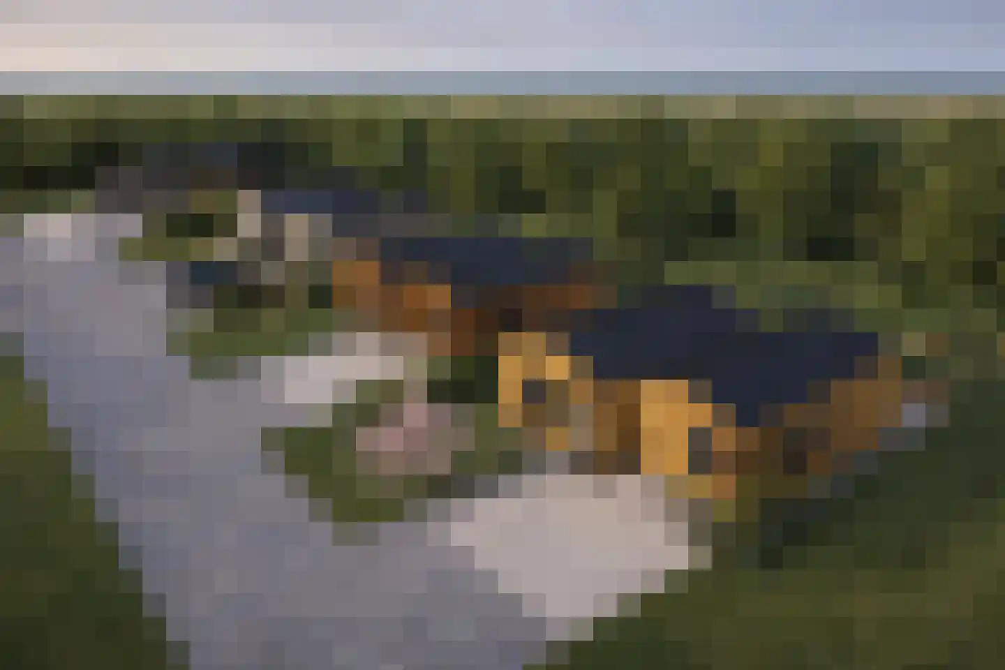 Goethelaan 156 Almere thumbnail 20