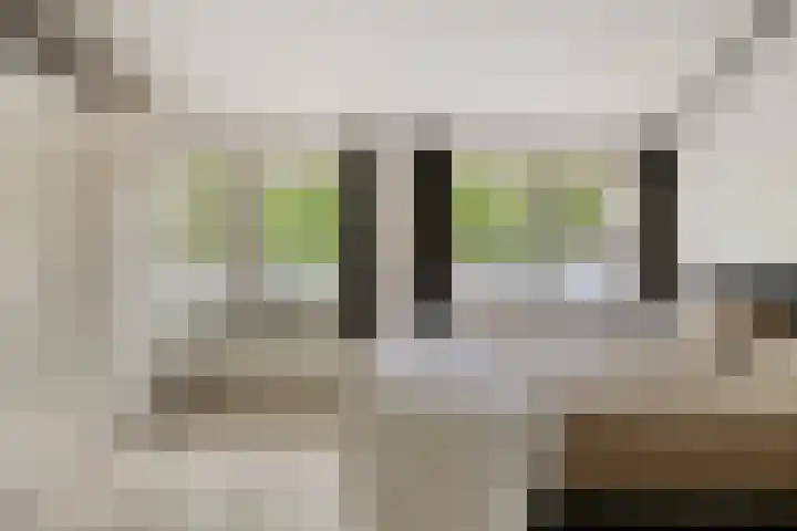 Goethelaan 156 Venlo thumbnail 17