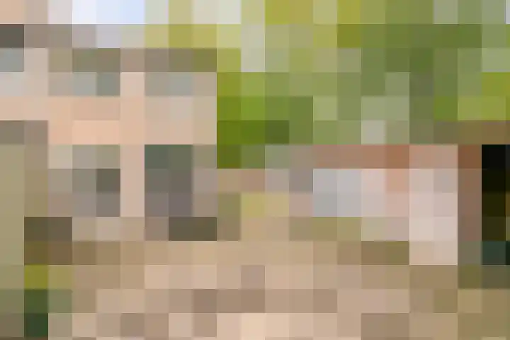 Goethelaan 156 Venlo thumbnail 26